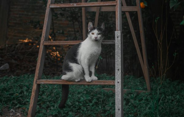 Hoe kan voeding je helpen sneller te herstellen van ziekte?