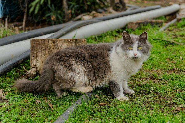 Hoe kan ik veilig sporten tijdens de zwangerschap?